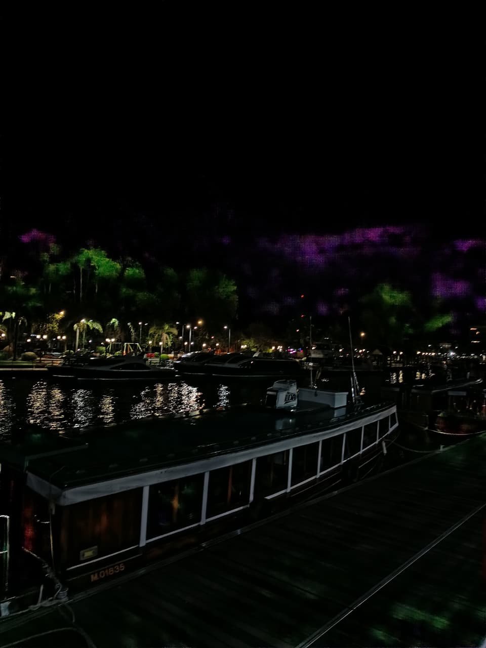 Noche Magica en el Delta de Tigre