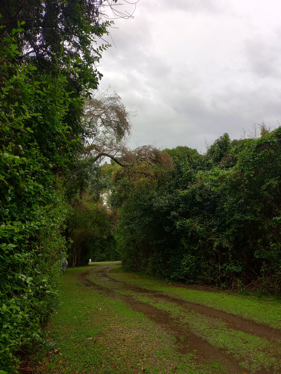 Isla Martín García