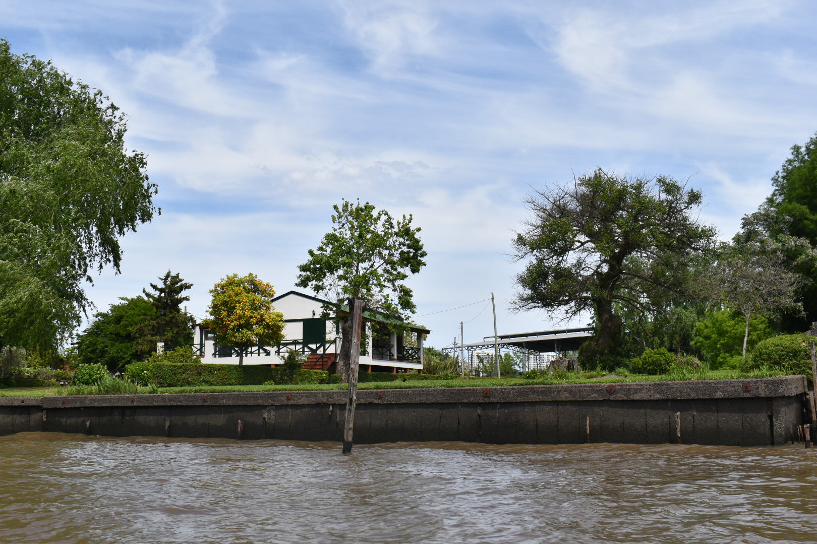 Delta del Paraná de día - Paisaje natural