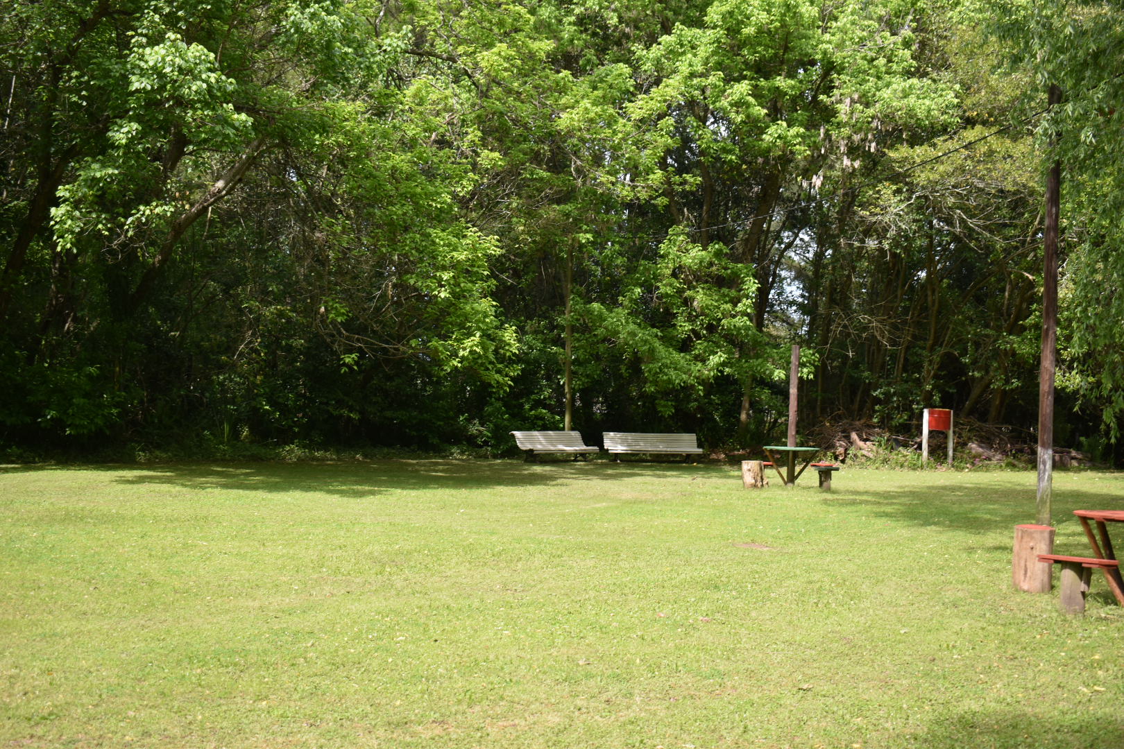 Lancha en el Delta diurno