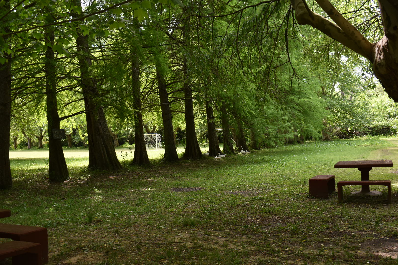Paisaje del Delta del Paraná